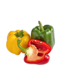 Capsicum