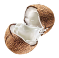 Coconut milk
