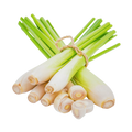 Lemon grass